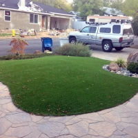 Synthetic Turf Supplier Campo, California Backyard Playground, Landscaping Ideas For Front Yard