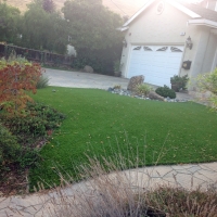 Synthetic Turf Supplier Carlsbad, California Backyard Playground, Front Yard