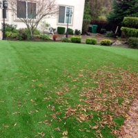 Synthetic Turf Supplier Encinitas, California Garden Ideas, Backyards