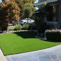 Turf Grass Bonita, California Lawns, Front Yard Landscape Ideas