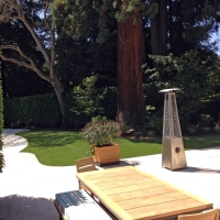 Turf Grass Chula Vista, California Landscaping, Backyard Landscaping Ideas