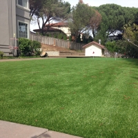 Turf Grass Imperial Beach, California Putting Green Carpet, Backyard Landscaping