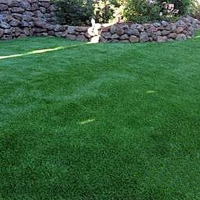 Turf Grass Rainbow, California Cat Playground, Backyard Landscaping