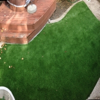 Turf Grass Spring Valley, California Rooftop, Backyard Landscaping Ideas