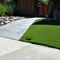 Turf Grass Winter Gardens, California Lawn And Garden, Front Yard Ideas