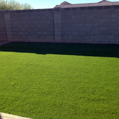 Artificial Grass Installation Del Mar, California Lawn And Garden, Backyard Landscaping Ideas