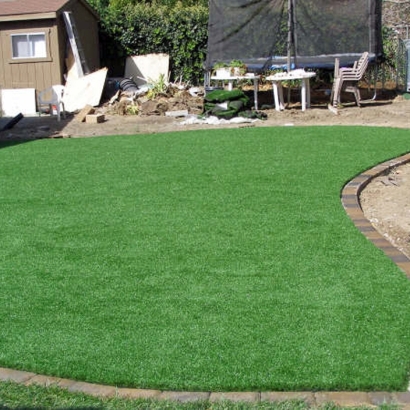 Artificial Grass La Jolla, California Garden Ideas, Backyard Landscaping