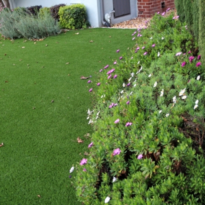 Artificial Grass Rancho Santa Fe, California Design Ideas, Small Front Yard Landscaping