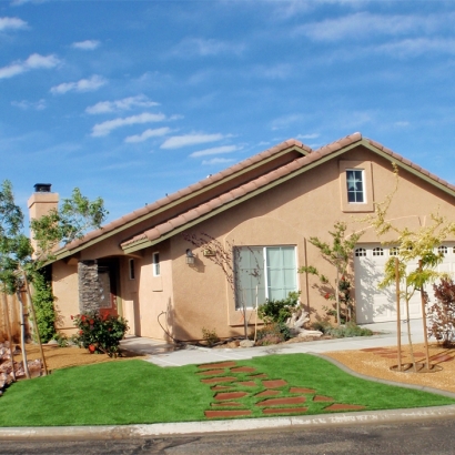 Artificial Lawn Solana Beach, California Lawn And Garden, Front Yard Landscaping