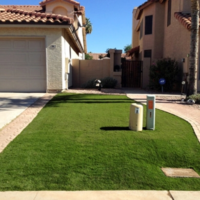 Fake Grass Carpet Lemon Grove, California Garden Ideas, Front Yard Ideas