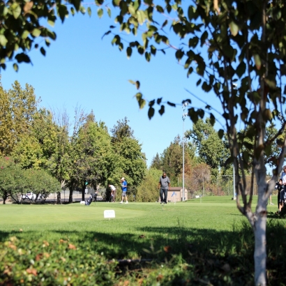 Fake Grass Carpet Ramona, California Landscape Photos