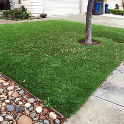 Faux Grass Eucalyptus Hills, California Lawns, Front Yard Landscape Ideas