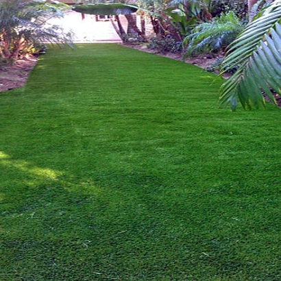 Grass Carpet El Cajon, California City Landscape, Backyard Ideas