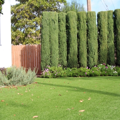 Grass Turf Alpine, California Roof Top, Front Yard Landscaping Ideas