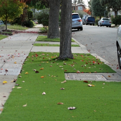 Outdoor Carpet Bonsall, California Landscape Design, Front Yard Design