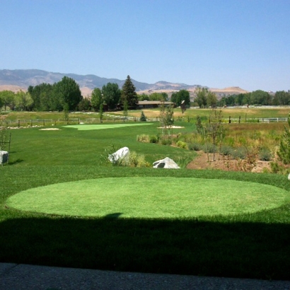 Outdoor Carpet Carlsbad, California Outdoor Putting Green, Backyard Landscaping