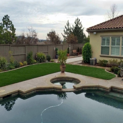 Outdoor Carpet Chula Vista, California Lawns, Backyard