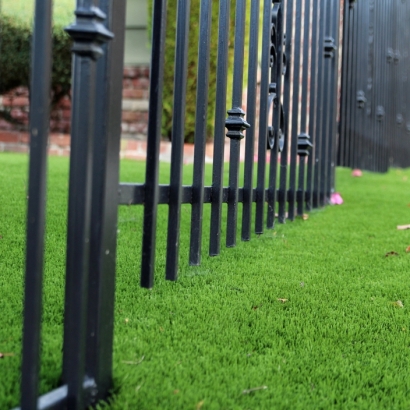 Outdoor Carpet Rancho San Diego, California Backyard Playground, Small Front Yard Landscaping