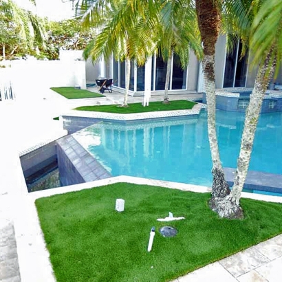 Plastic Grass Fairbanks Ranch, California Design Ideas, Backyard Design