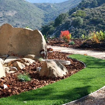 Synthetic Lawn Casa de Oro-Mount Helix, California Rooftop, Small Front Yard Landscaping