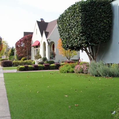 Synthetic Turf Supplier Jamul, California Roof Top, Landscaping Ideas For Front Yard