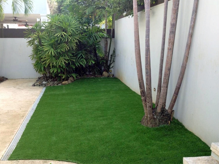 Artificial Grass Carpet Boulevard, California City Landscape, Backyard Makeover