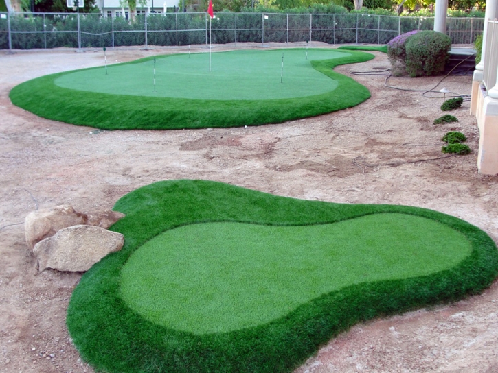 Artificial Grass Carpet Fairbanks Ranch, California City Landscape, Front Yard Landscape Ideas