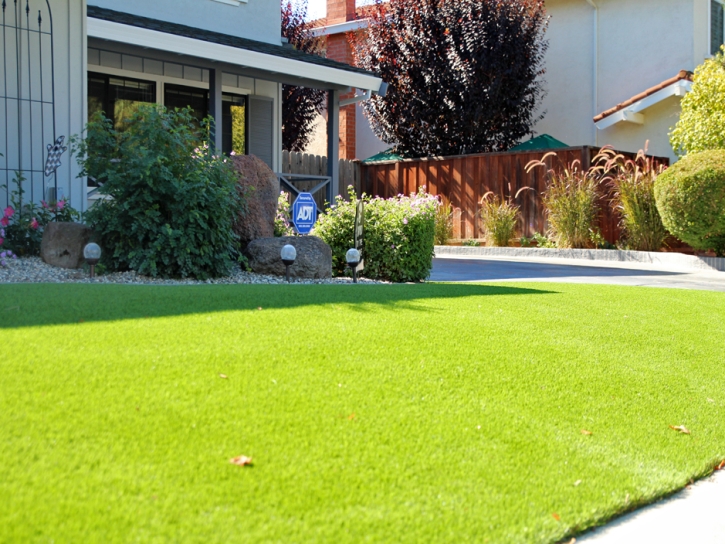 Artificial Grass Carpet La Jolla, California Home And Garden, Front Yard Landscaping