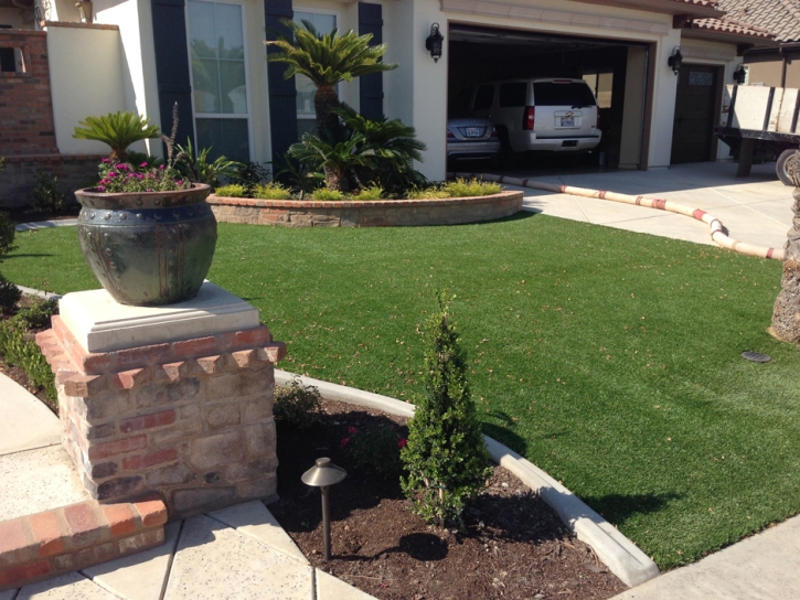 Artificial Grass Carpet Lakeside, California Lawn And Garden, Front Yard