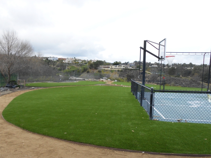 Artificial Grass Carpet Potrero, California Lawn And Garden, Commercial Landscape