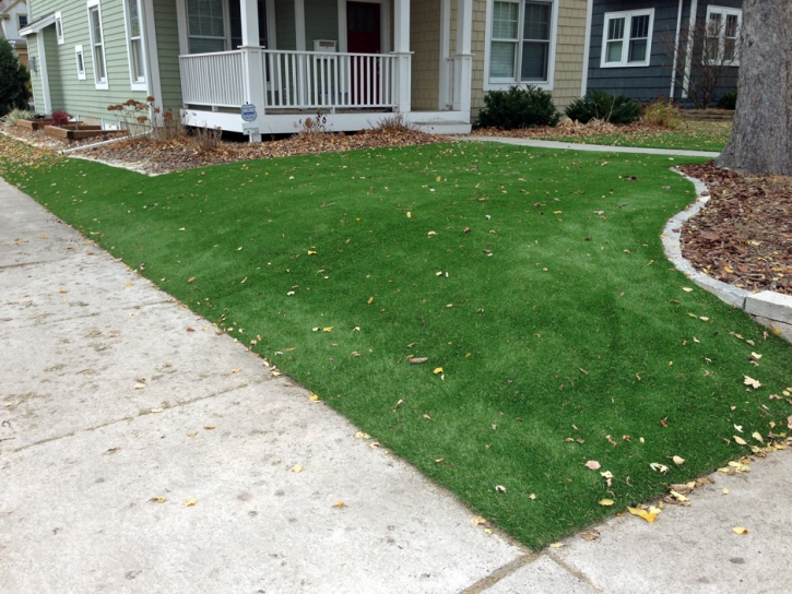 Artificial Grass Carpet Rainbow, California Design Ideas, Front Yard Landscaping Ideas