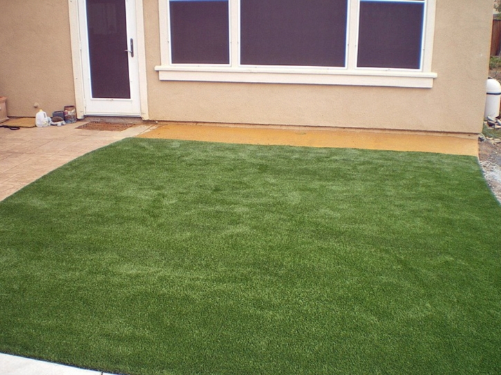 Artificial Grass Imperial Beach, California Rooftop, Backyards