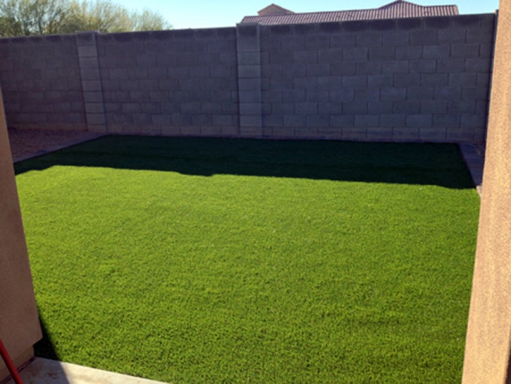 Artificial Grass Installation Del Mar, California Lawn And Garden, Backyard Landscaping Ideas