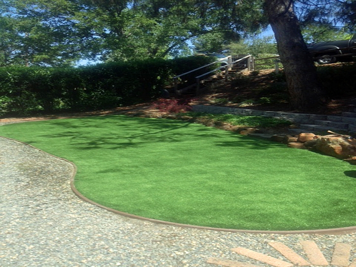 Artificial Grass Installation Lakeside, California Backyard Playground, Backyard Landscaping Ideas