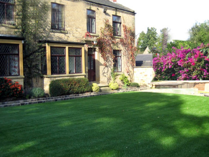 Artificial Grass Installation Lemon Grove, California Gardeners, Front Yard Design