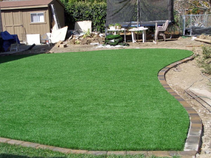 Artificial Grass La Jolla, California Garden Ideas, Backyard Landscaping