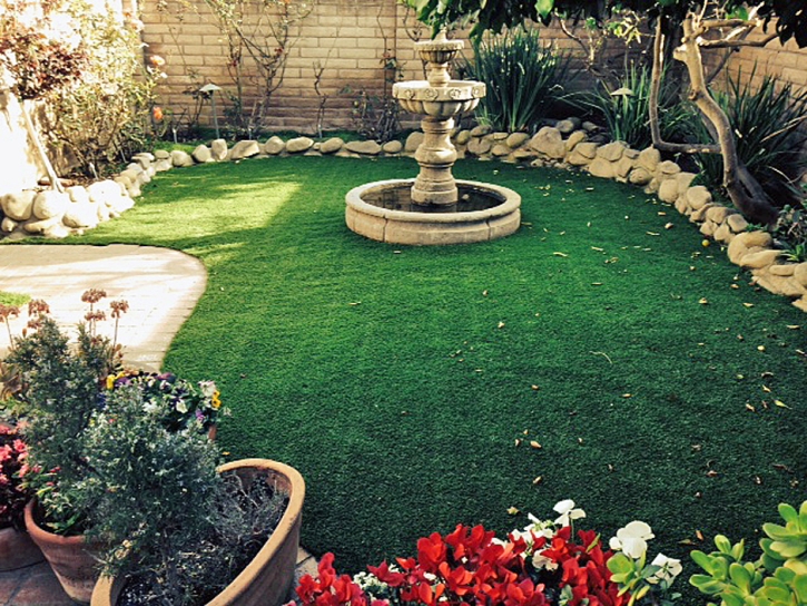 Artificial Grass La Jolla, California Landscaping