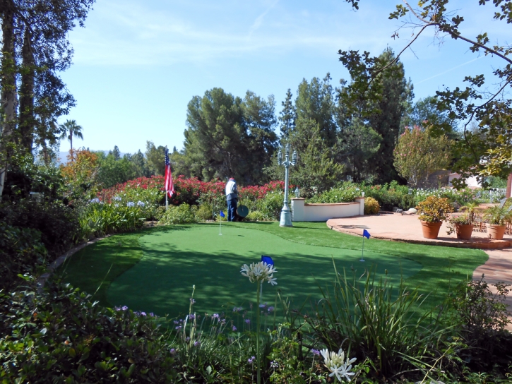 Artificial Grass La Presa, California Putting Green Carpet, Backyards