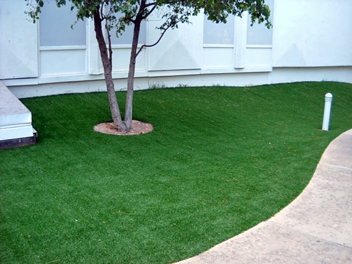 Artificial Grass Ramona, California Landscape Rock, Commercial Landscape