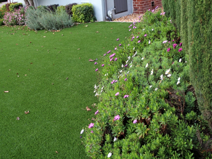 Artificial Grass Rancho Santa Fe, California Design Ideas, Small Front Yard Landscaping