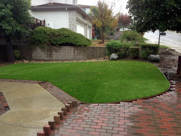 Artificial Grass Santee, California Garden Ideas, Backyard