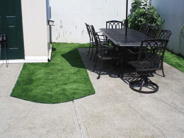 Artificial Lawn Coronado, California Landscaping, Backyard Landscape Ideas