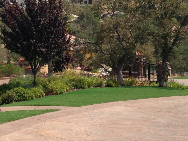 Artificial Lawn Jamul, California Home And Garden, Backyard Makeover