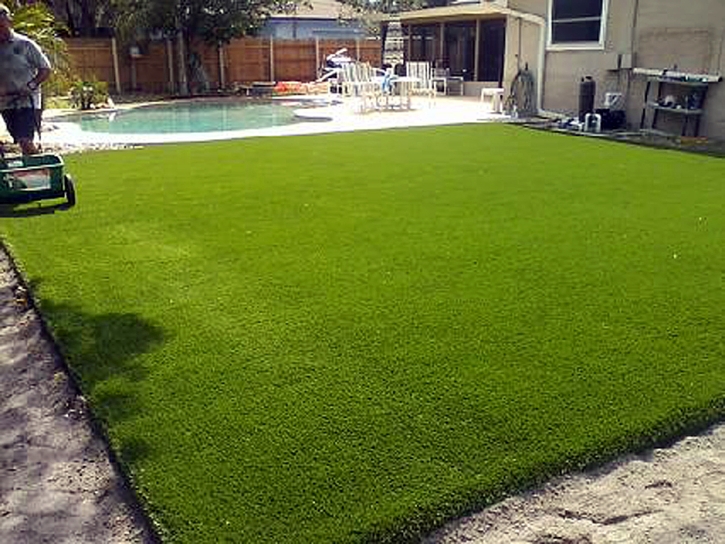 Artificial Lawn Lemon Grove, California Rooftop, Kids Swimming Pools