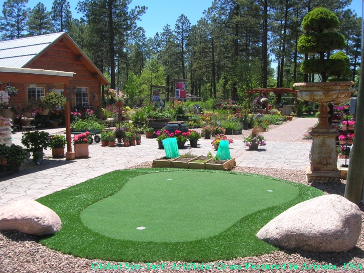 Artificial Lawn National City, California Diy Putting Green, Beautiful Backyards