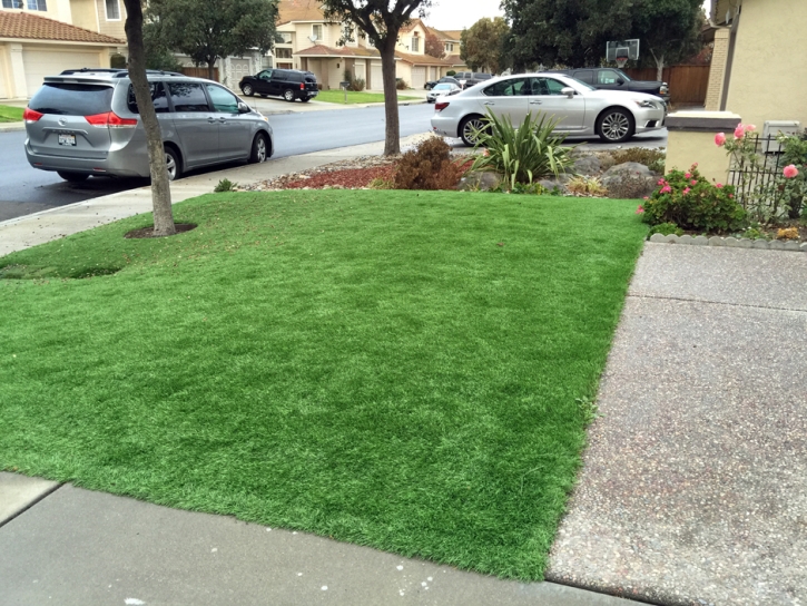 Artificial Lawn Rancho San Diego, California Gardeners, Front Yard