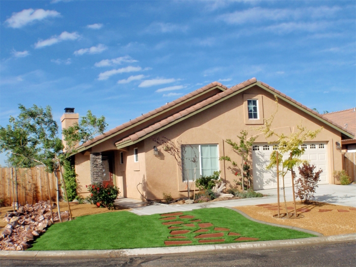 Artificial Lawn Solana Beach, California Lawn And Garden, Front Yard Landscaping