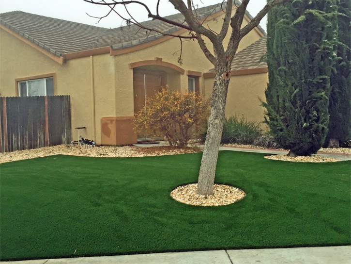 Artificial Lawn Solana Beach, California Landscape Photos, Front Yard Landscape Ideas