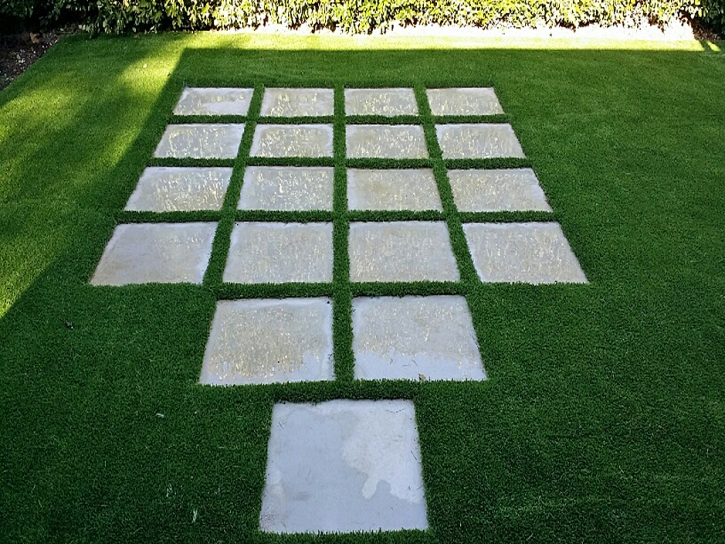 Artificial Lawn Valley Center, California Garden Ideas, Backyard Design