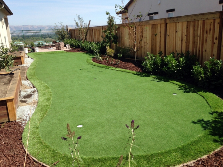 Artificial Turf Campo, California Landscape Photos, Backyard Landscape Ideas